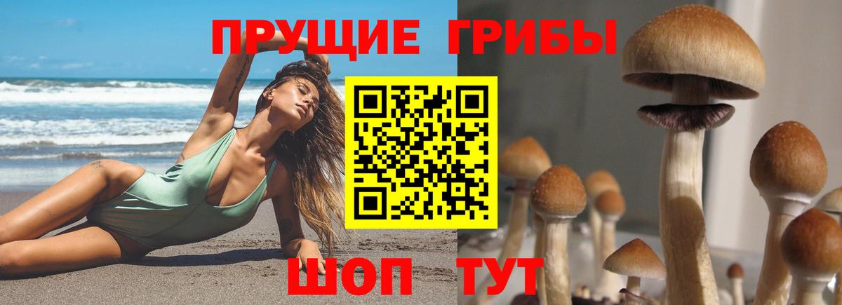 где продают наркотики  Вход с VPN  Галлюциногенные грибы ЛСД  Усть-Лабинск  Галлюциногенные грибы GOLDEN TEACHER 